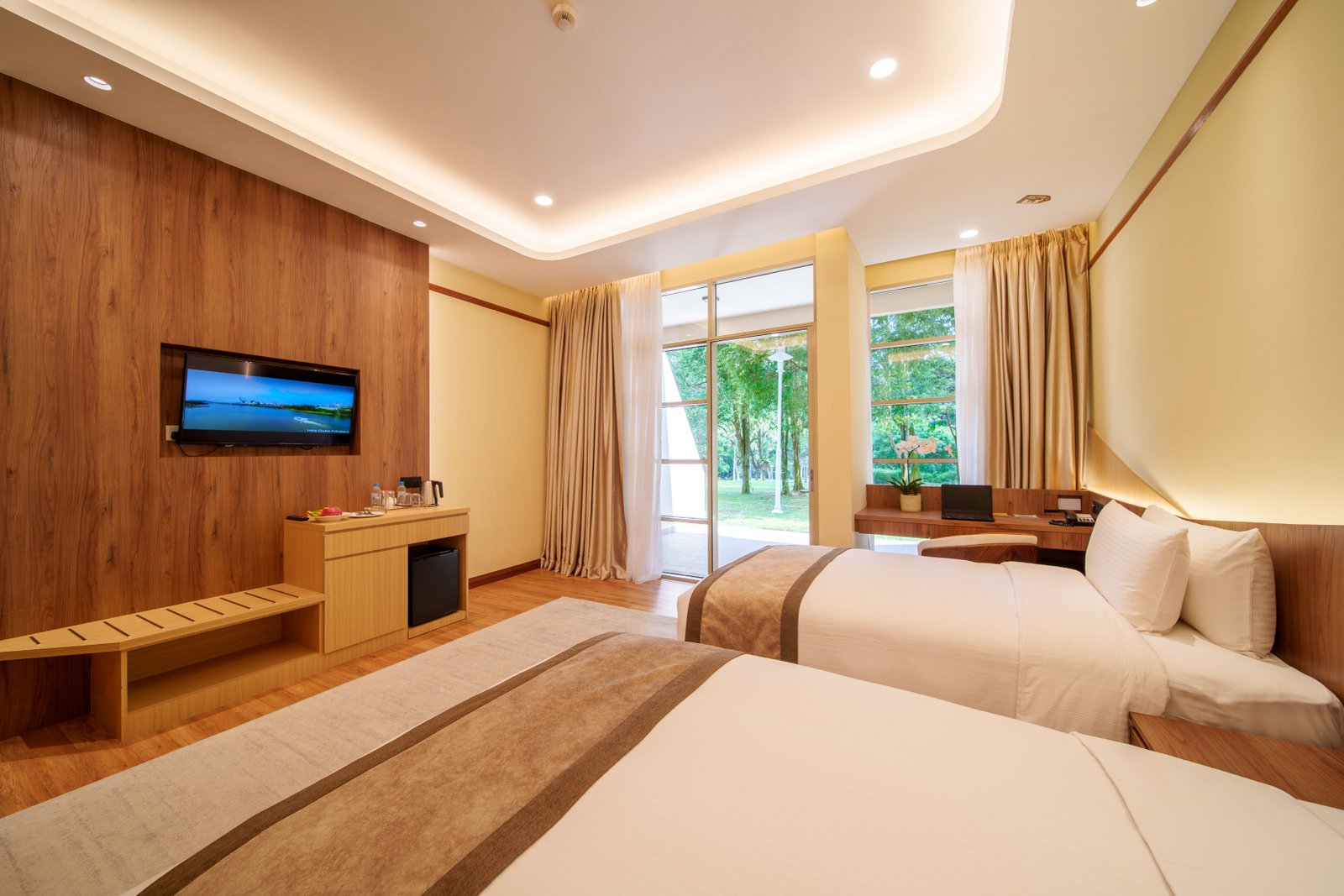 Deluxe Parkview King Room