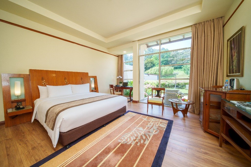Deluxe Hillview King Room